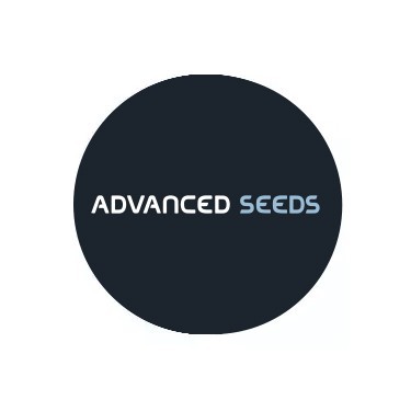 Advanced Seeds Feminisierte Samen