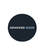 Selbstblühende Samen von Advanced Seeds