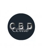 Feminisierte CBD-Samen
