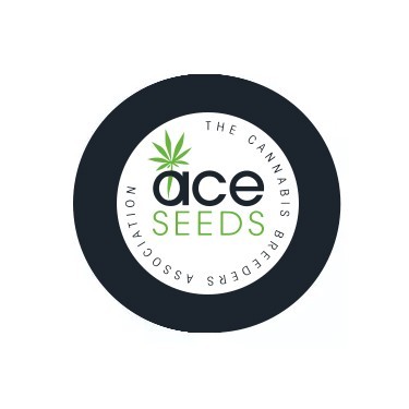 ACE Seeds reguläre Samen