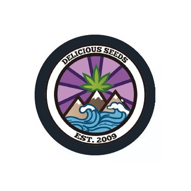 Feminisierte Samen von Delicious Seeds
