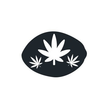 Cannabis Samen