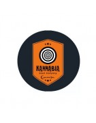 Kannabia Seeds feminisierte Samen