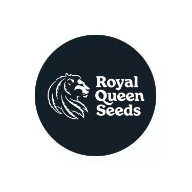 Feminisierte Samen von Royal Queen Seeds