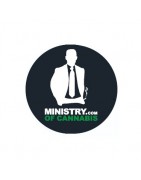 Ministry of Cannabis feminisierte Samen