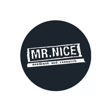 Mr. Nice Seedbank reguläre Samen