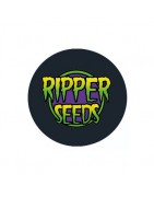 Feminisierte Samen Ripper Seeds