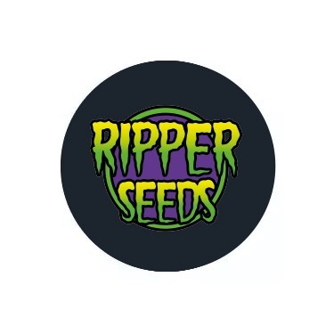 Feminisierte Samen Ripper Seeds