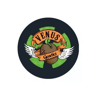 Venus Genetics Feminisierte Samen