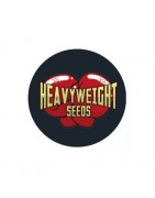 Heavyweight Seeds Autoflowering Samen
