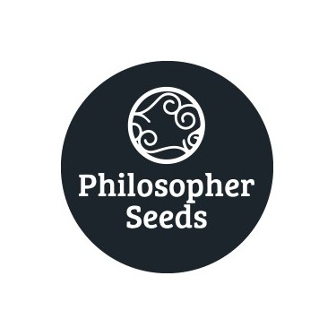 Feminisierte Samen Philosopher Seeds