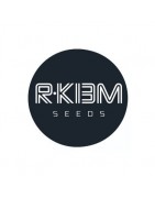 Feminisierte Samen R-Kiem Seeds