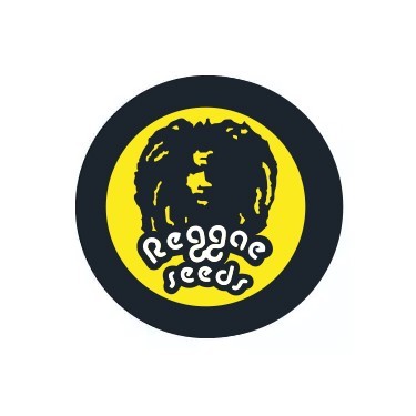 Reggae Seeds Reguläre Samen