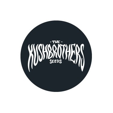 The Kush Brothers Seeds - Feminisierte Samen