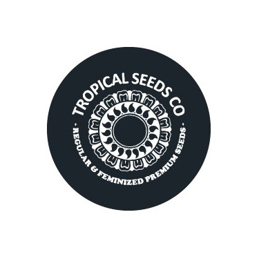 Feminisierte Samen von Tropical Seeds