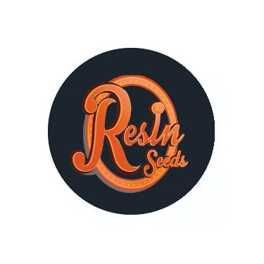 Feminisierte Samen Resin Seeds