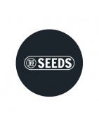 Samen in großen Mengen