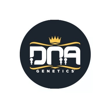DNA Genetics reguläre Samen