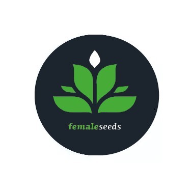 Weibliche Samen Female Seeds
