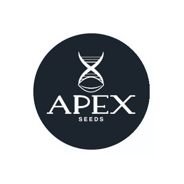 Apex Seeds feminisierte Samen