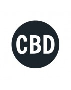 CBD-Samen
