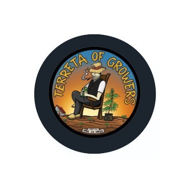 Feminisierte Samen Terreta of Growers