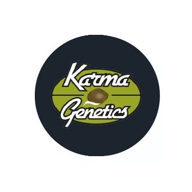 Karma Genetics