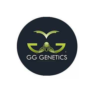 GG Genetics