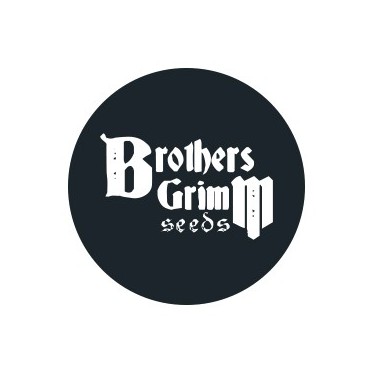 Brothers Grimm Seeds Reguläre Samen