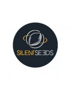 Feminisierte Samen Silent Seeds