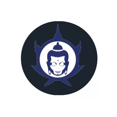 Buddha Seeds feminisierte Samen