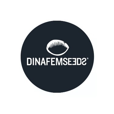 Dinafem Seeds feminisierte Samen