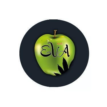 Feminisierte Samen Eva Seeds