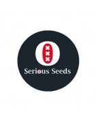 Serious Seeds Feminisierte Samen