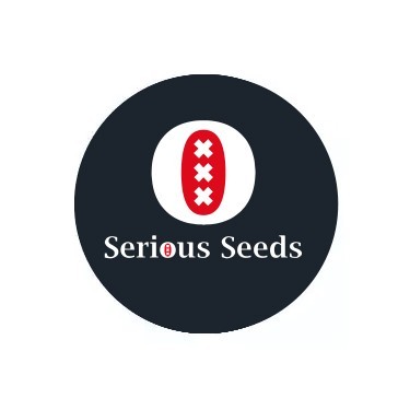 Serious Seeds Feminisierte Samen