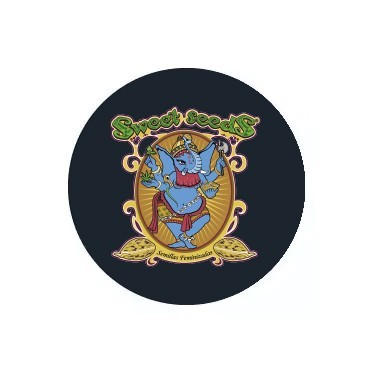 Feminisierte Samen Sweet Seeds