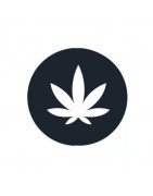 Full Spectrum CBD-Öl