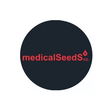 Weibliche Medical Seeds Samen