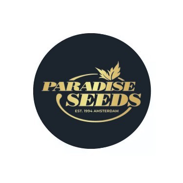 Feminisierte Samen Paradise Seeds