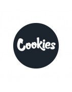 Cookies Seed Bank Feminisierte Samen