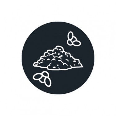 Insektizide gegen Trauermücken