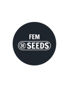 Feminisierte Bulk-Samen