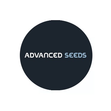 Advanced Seeds Autoflowering-Samen