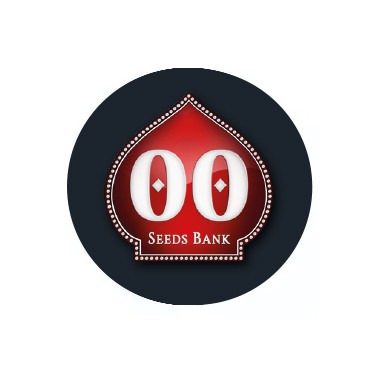 00 Seeds Bank Autoflowering Samen