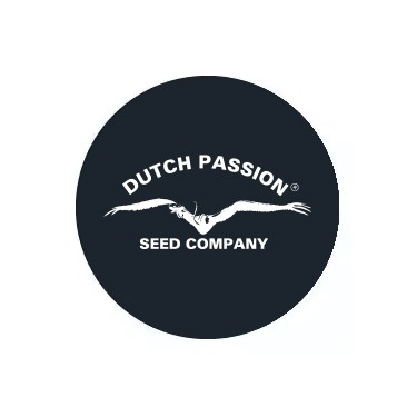 Dutch Passion selbstblühende Samen