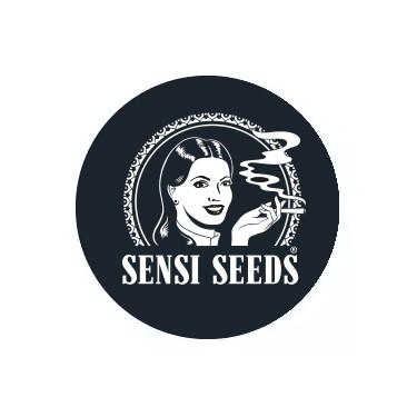 Sensi Seeds selbstblühende Samen