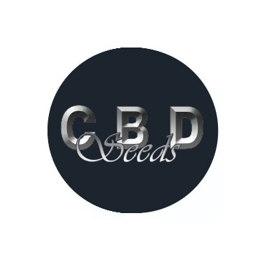 CBD-Samen Auto-Samen