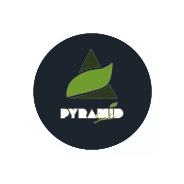 Pyramid Seeds Selbstblühende Samen