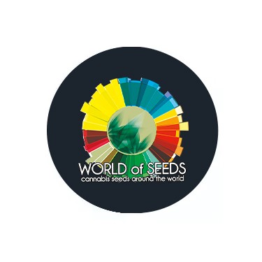 World of Seeds Autoflowering Samen