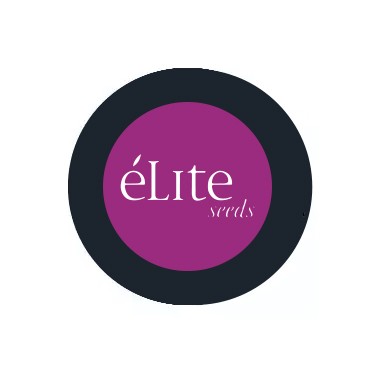 Elite Seeds Selbstblühende Samen